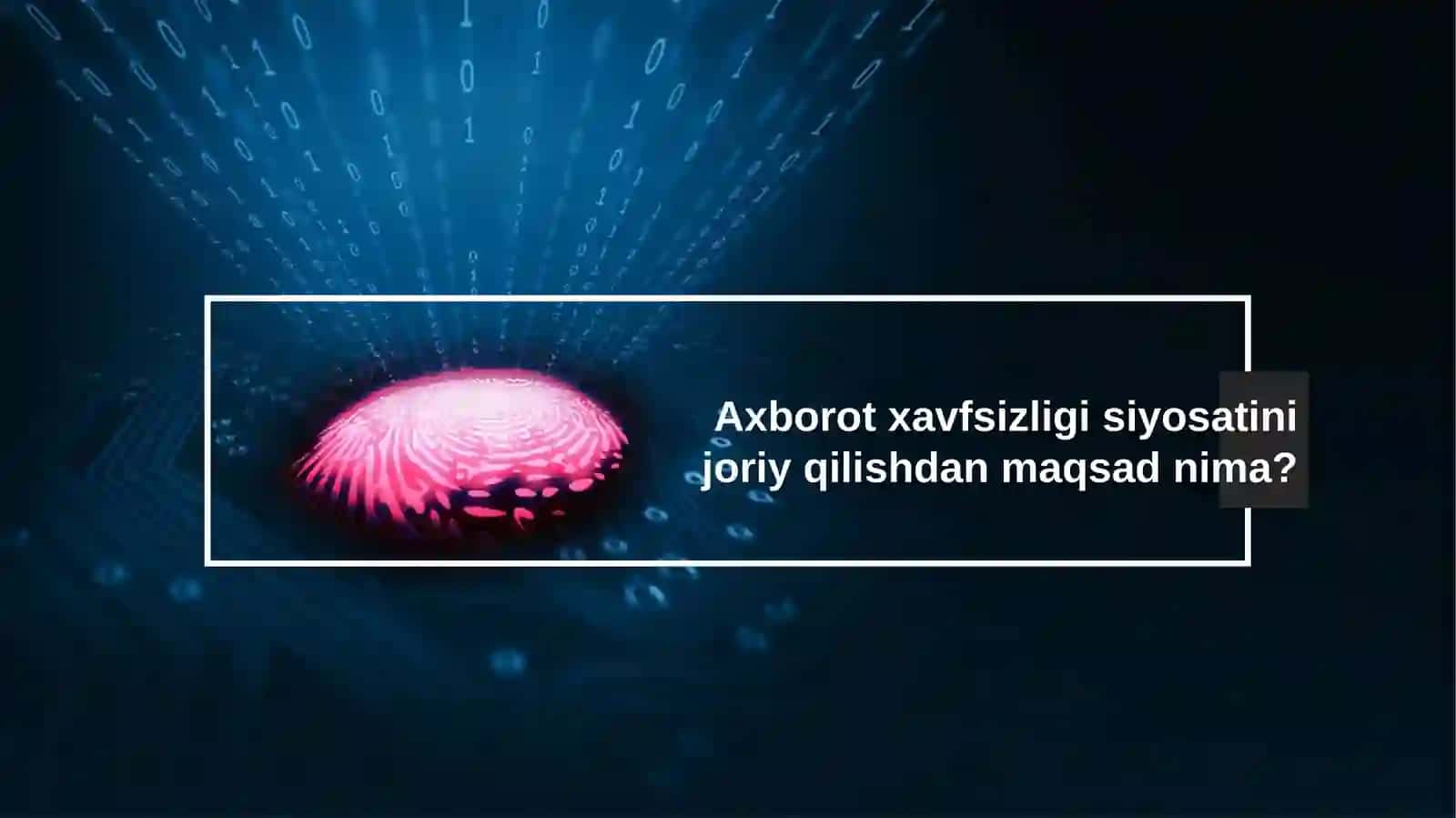 Kiberxavfsizlik siyosati 2