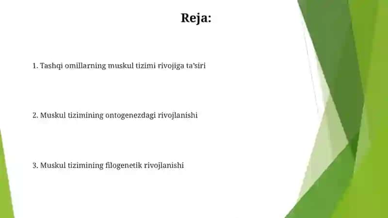 Muskul sistemasi filogenezi va ontogenezi, taraqqiyotiga tashqi omillarning ta'siri 2