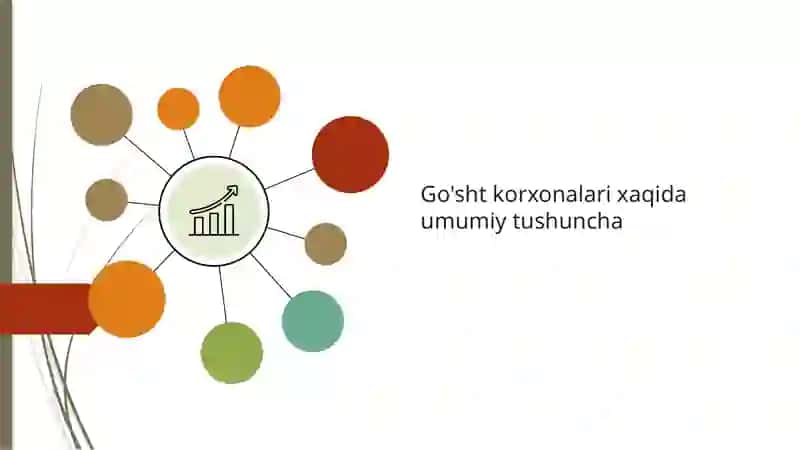 Go'sht korxonalari xaqida umumiy tushuncha 2