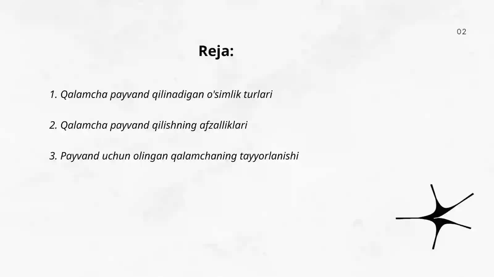 O'simliklarni qalamcha payvand qilish 2