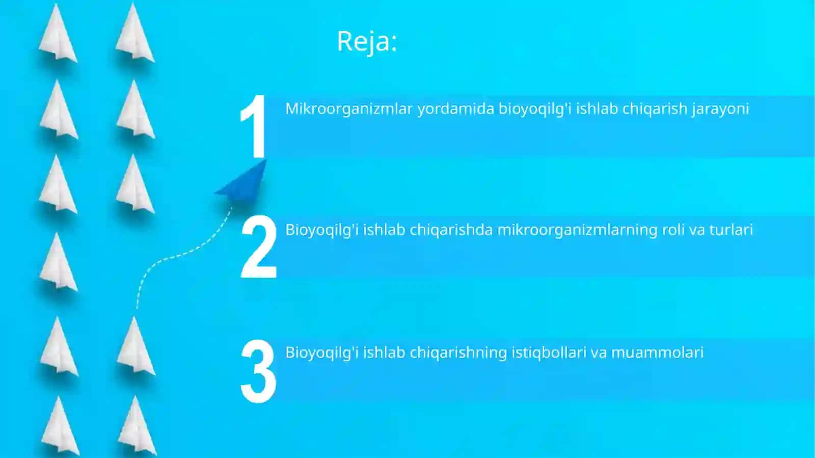 Mikroorganizimlar yordamida bioyoqilg'i olish jarayoni 2