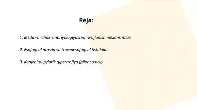 Meda va ichak embriyologiyasi va rivojlanish mexanizmlari 2