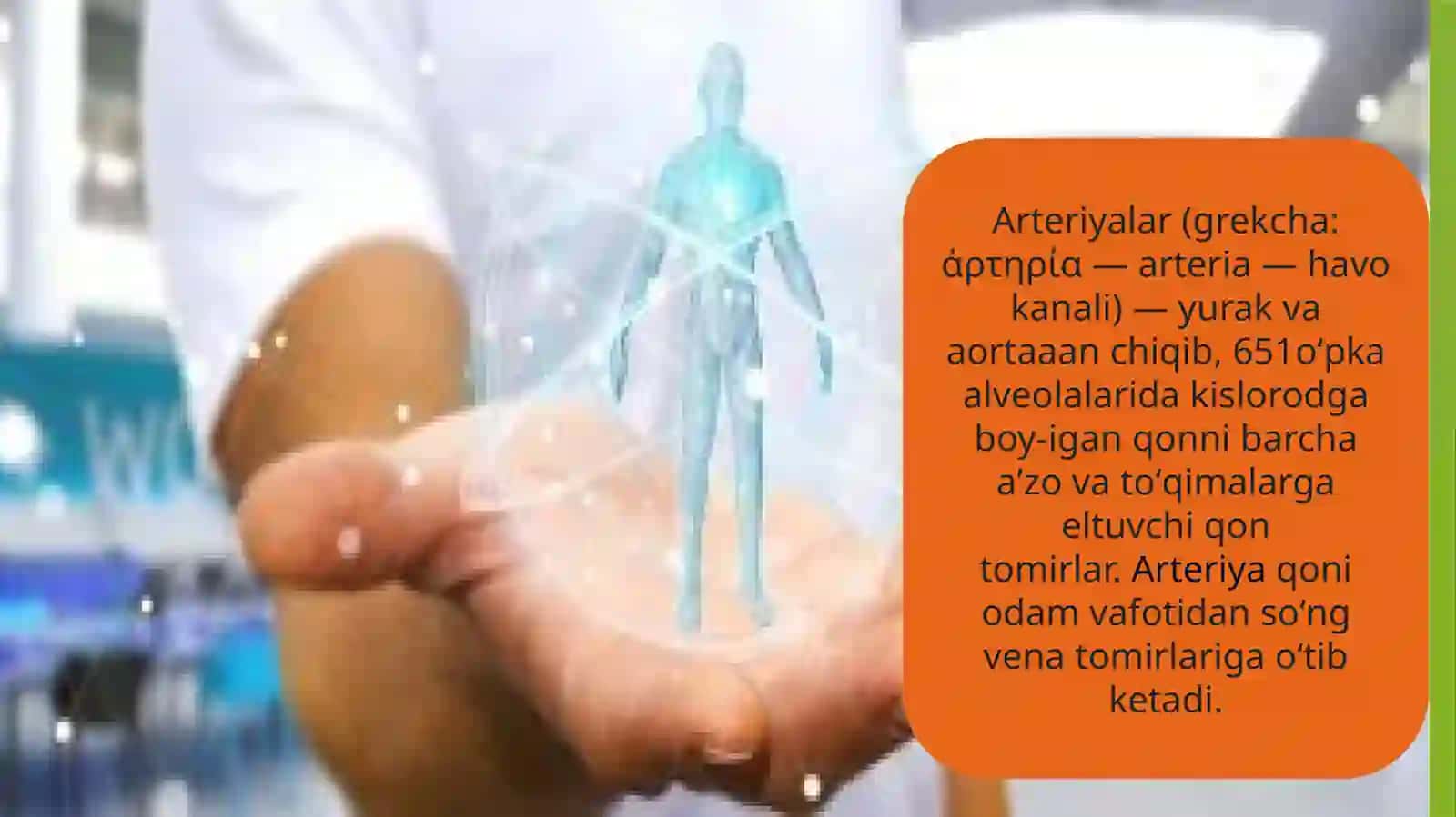 Arteriyalarining tarqalish qonuniyatlari 2