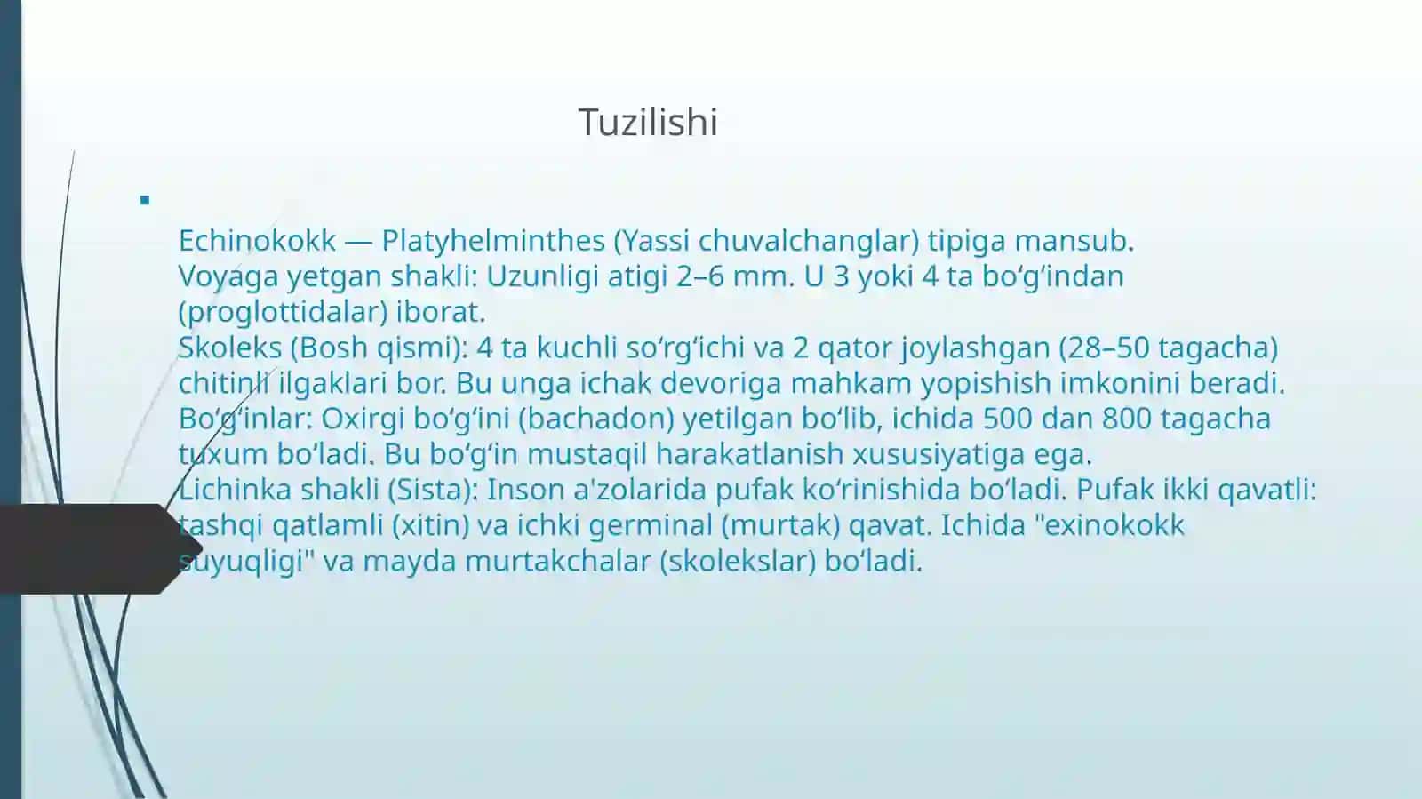 Exinokokkning tuzilishi, rivojlanish sikli, yuqish yo'llari, diagnostikasi va profilaktikasi 2