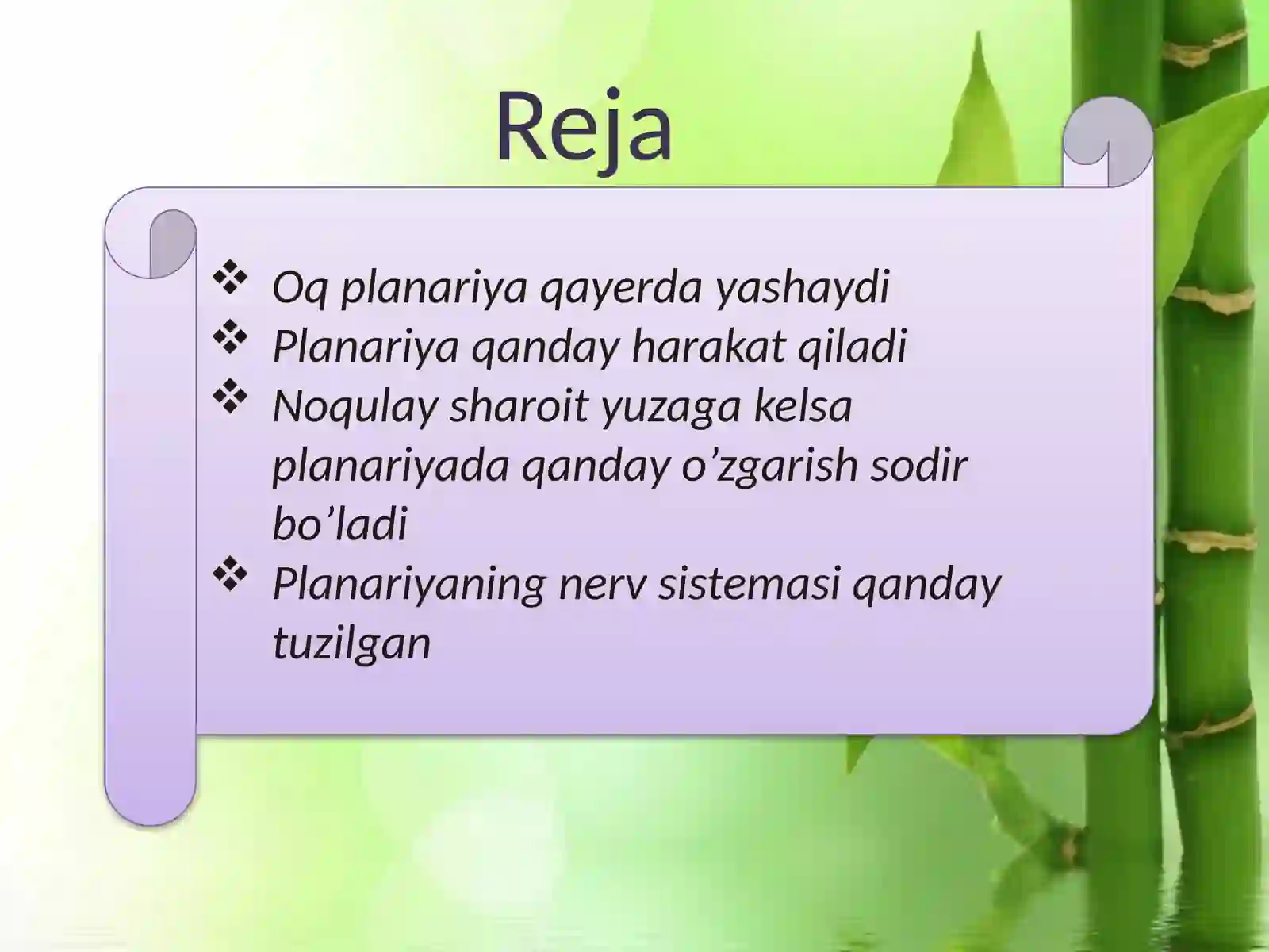 Oqplanariya-Dendrocoelumlacteumningtuzilishivahayotkechirishxususiyatlarinio‘rganish 2