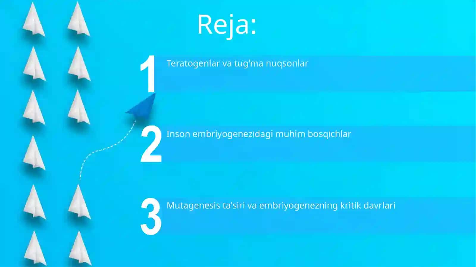 MUXIT OMILLARINING EMBRIOGENEZGA TA'SIRI.ODAMDA RIVOJLANISHNING QALTIS DAVRLARI 2