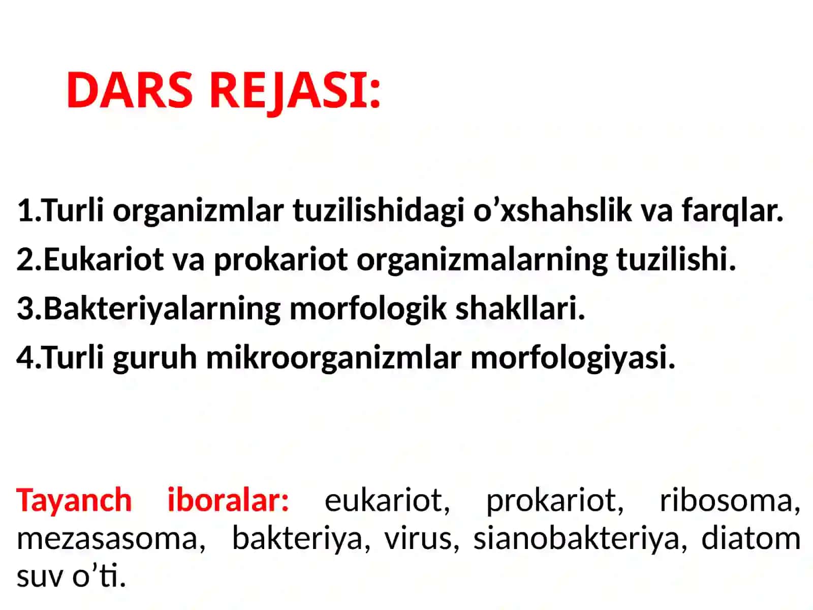 PROKARIOTLAR MORFOLOGIYASI VA HUJAYRA TUZILISHI 2