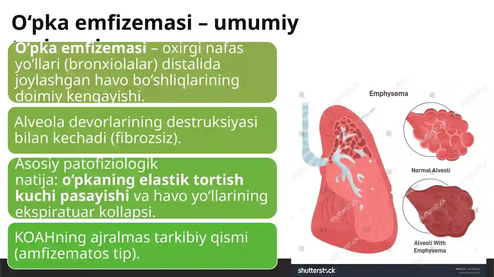 O‘pka emfizemasi 2