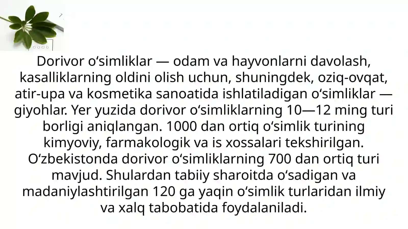 Oʻzbekistonning dorivor oʻsimliklar florasi 2