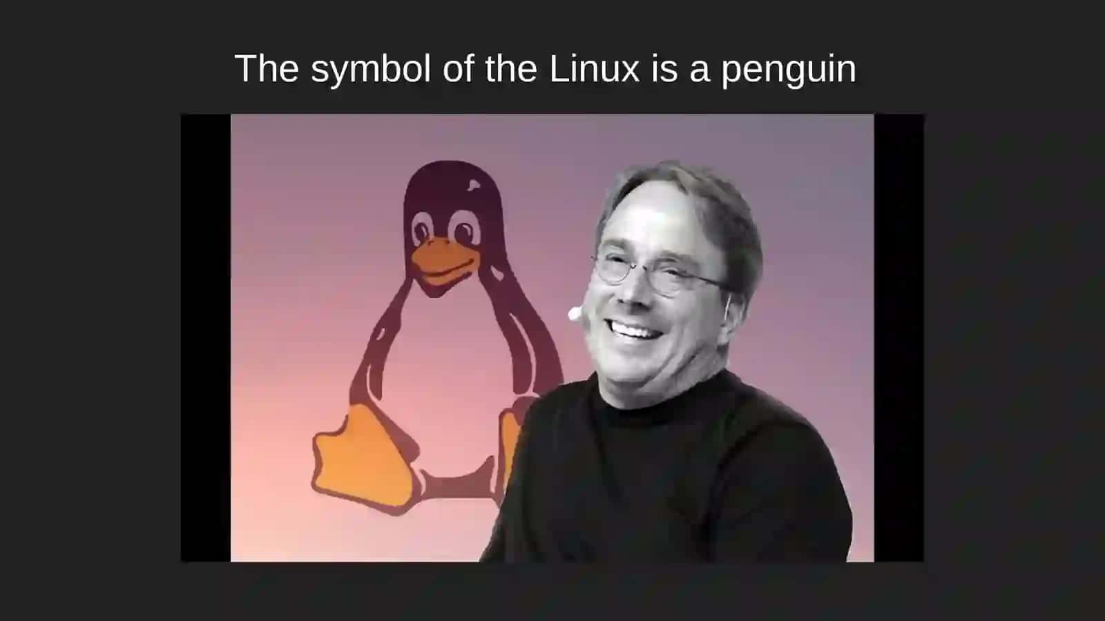 Linus Torvalds 2
