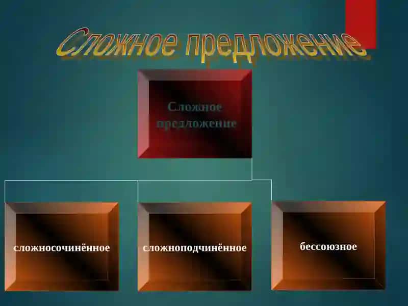 Сложные предложения 2