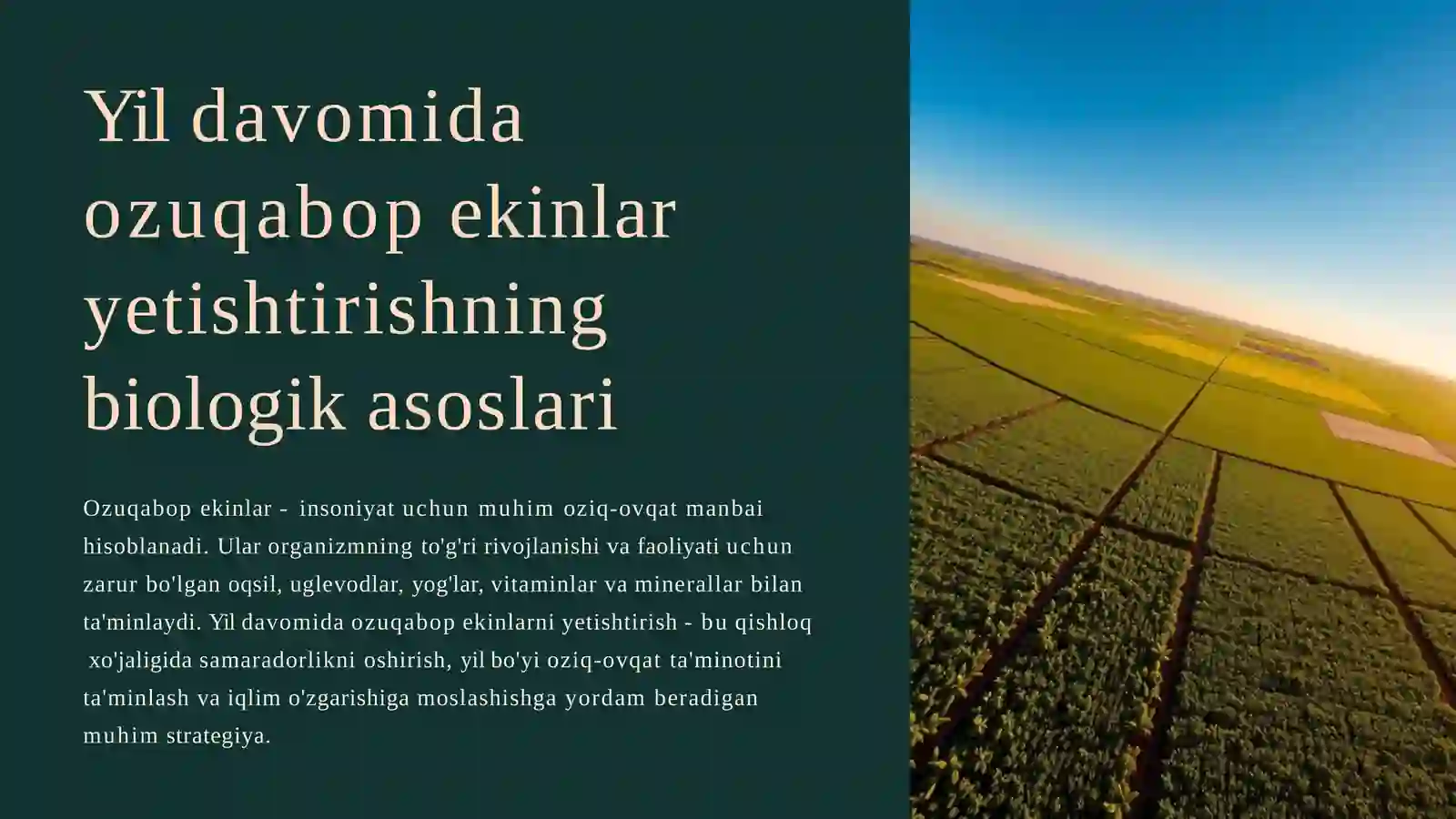 Yil davomida  ozuqabop ekinlaryetishtirishning  biologik asoslari 2