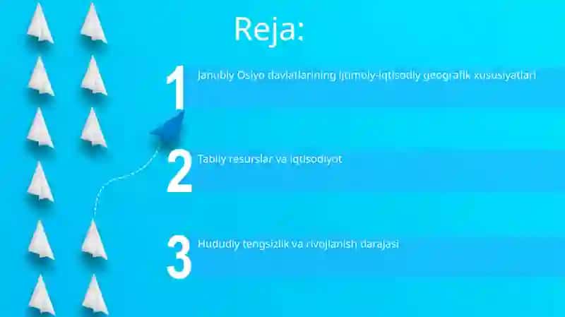 Janubiy Osiyoda davlatlarning ijtimoiy iqtisodiy geografiyasi 2