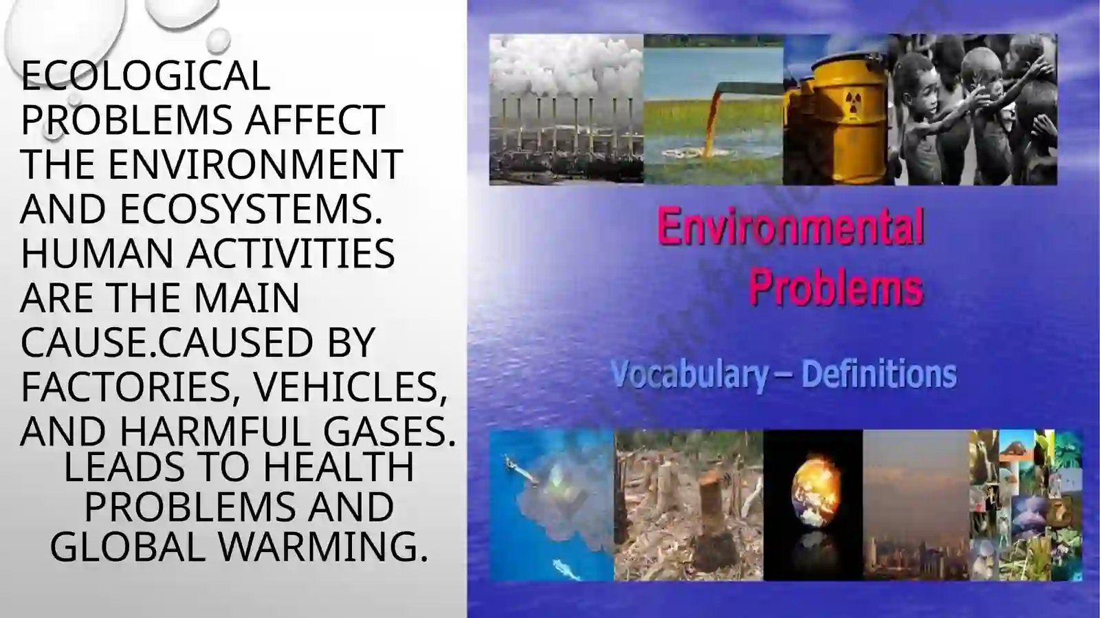 Ecological Problems 2