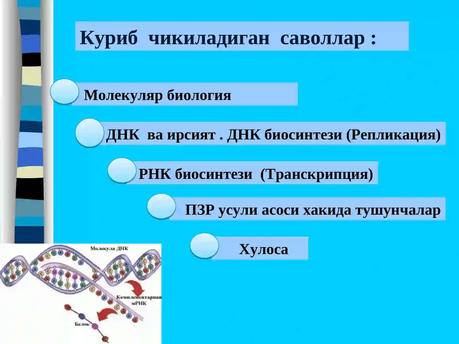 Молекуляр биология 2