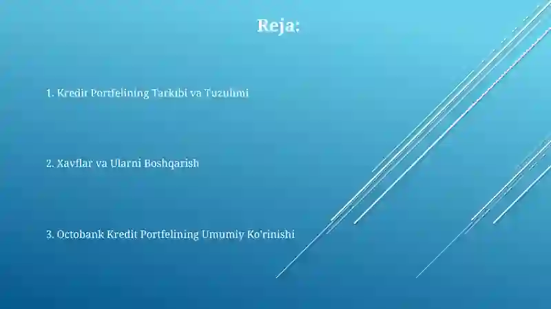 Octobank kredit portfeli 2