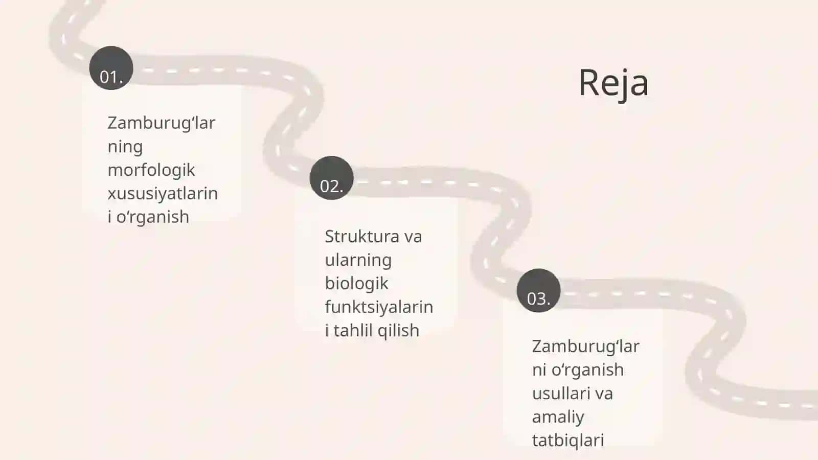 Zamburug‘lar. Ularning morfologiyasi, strukturasi va ularni o‘rganish usullari 2