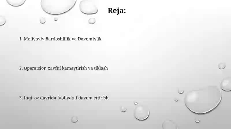 Biznesni uzluksizligi rejalashtirish (BUR) 2