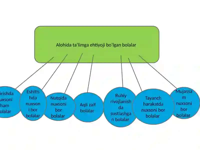 Alohidataʼlimgaehtiyojiborbolalar 2