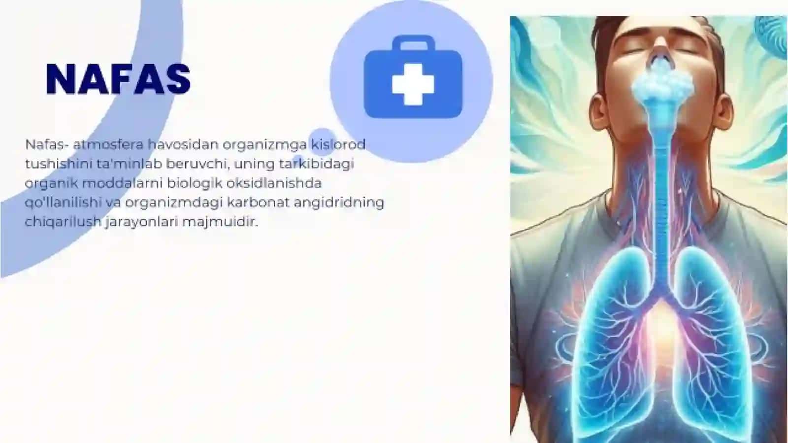 NAFAS TURLARI 2