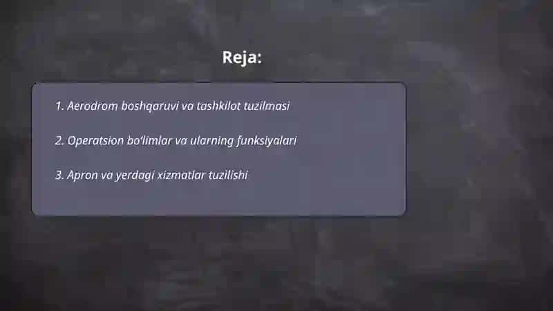 Aerodrom xizmati strukturasi va ularda ishlarni tashkil etish tamoyillari 2
