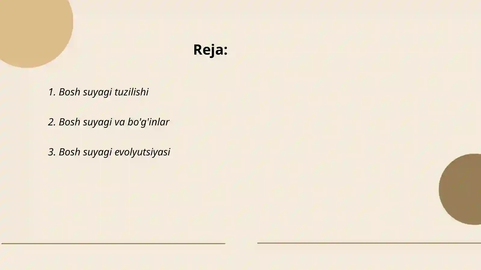 Bosh suyagi qismlari 2