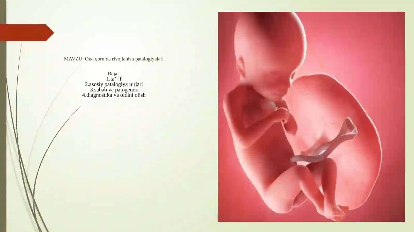TOSHKENT DAVLAT TIBBIYOT UNIVERSITETI NORMAL VA PATALOGIK FIZIOLOGIYA KAFEDRASI 2