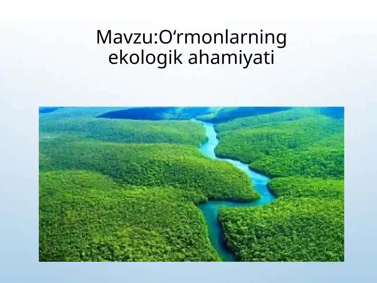 O‘rmonlarning ekologik ahmiyati 2