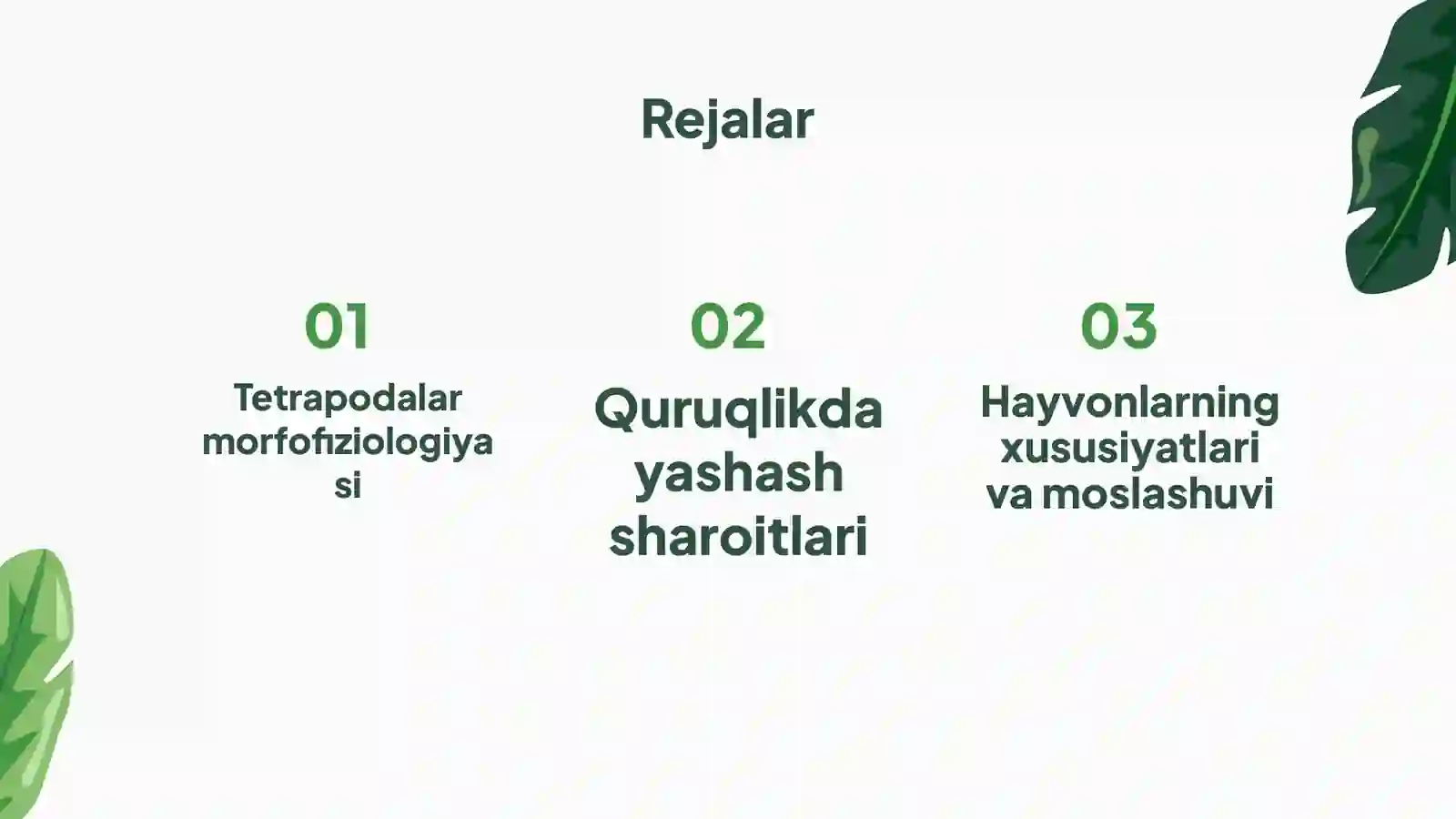Tetrapoda Katta Sinfiga Mansub Hayvonlarning Quruqlikda Yashashini Taminlovchi Morfofiziologik Belgi va Xususiyatlar 2