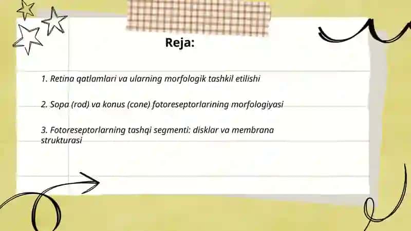 Fotoresepsiyaning morfologik asoslari 2