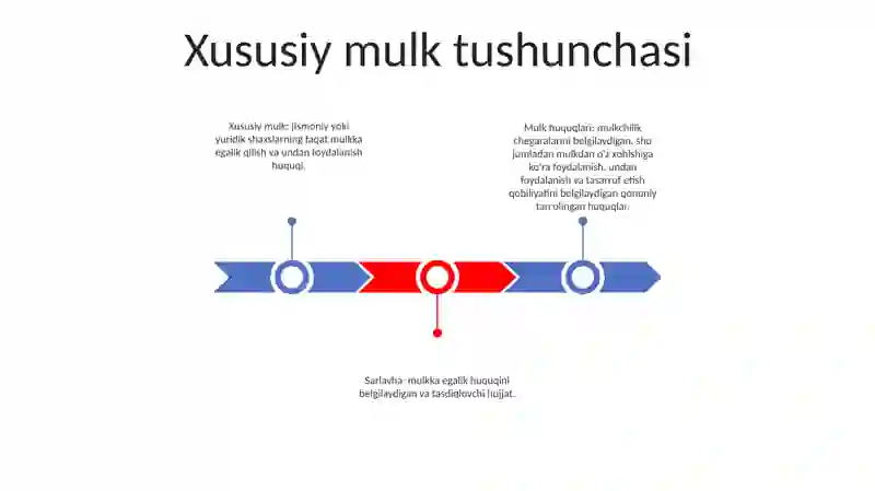 Xususiy Mulk 2