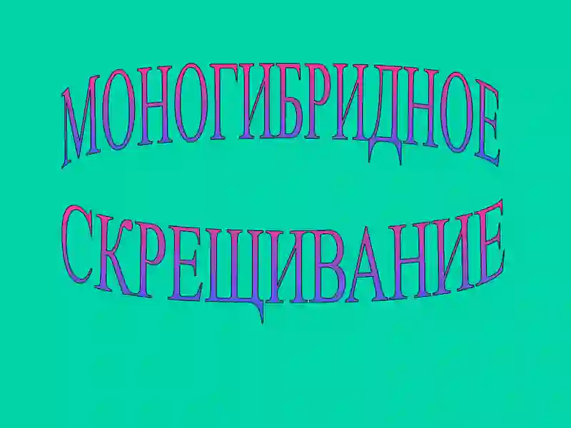 Моногибридное скрещивание 2