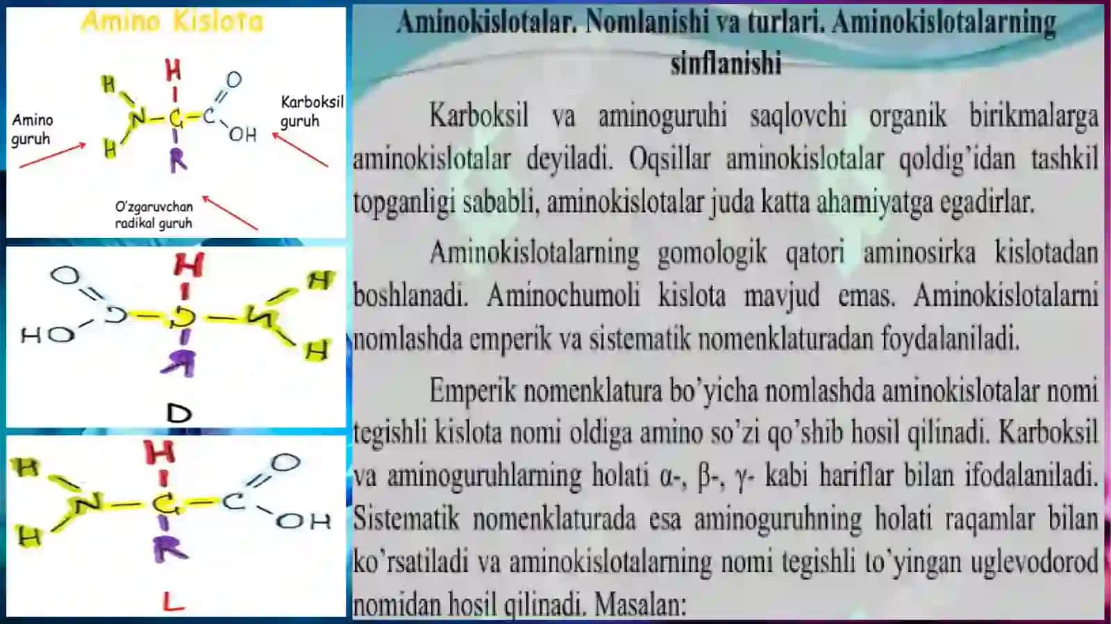 AMINOKISLOTALAR PEPTIDLAR.OQSILLAR 2