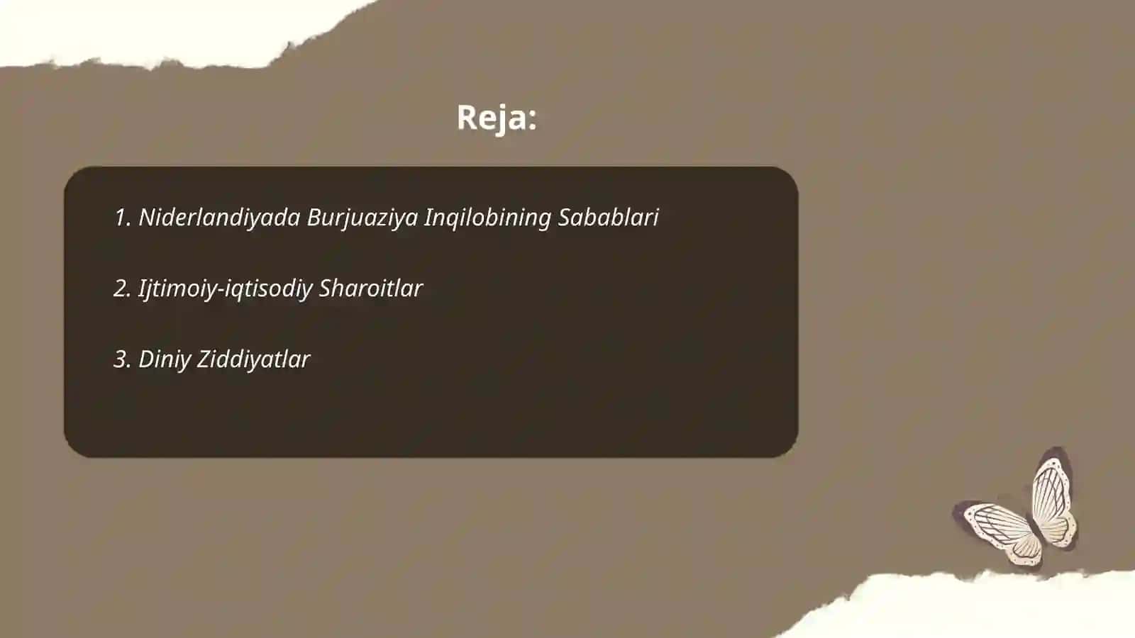Niderlandiyada burjuaziya inqilobi 2