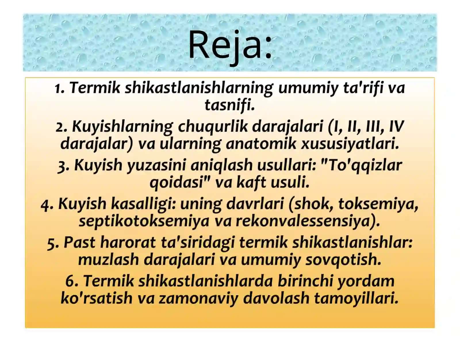 AbduraxmonovaZilol 2