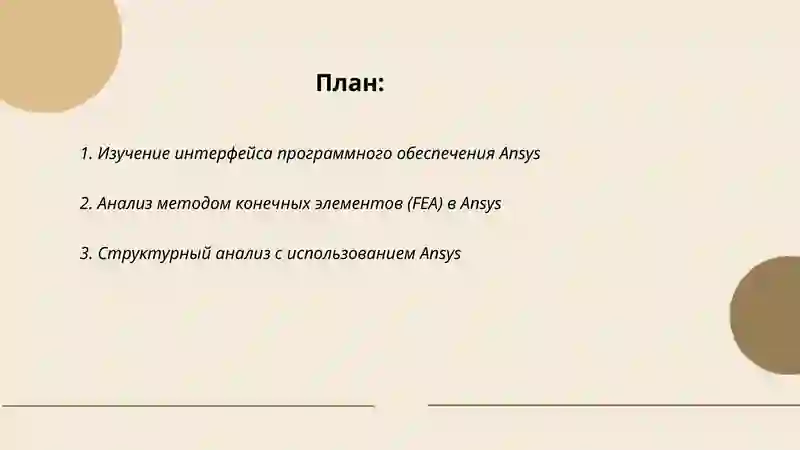 Программное обеспечение Ansys M Король В Панченко 2