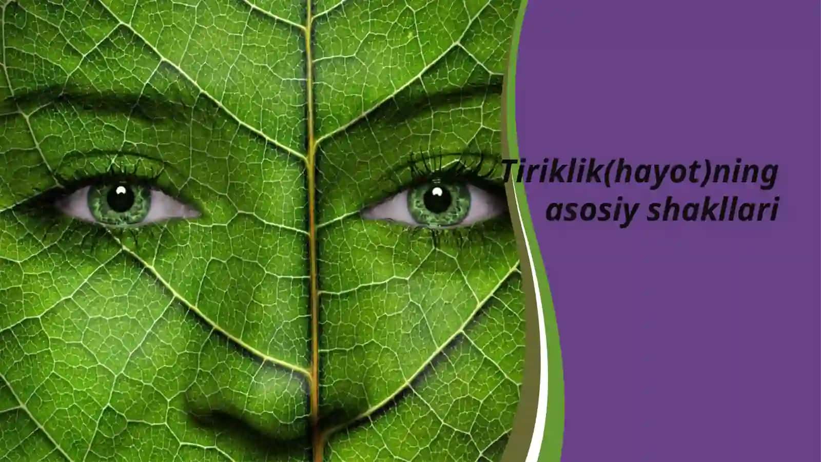 Tibbiy Biologiya va Genetika fanidan 2