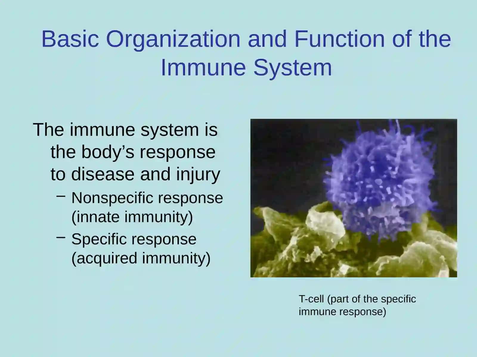 Basic Organization and Function of the Immune System 2