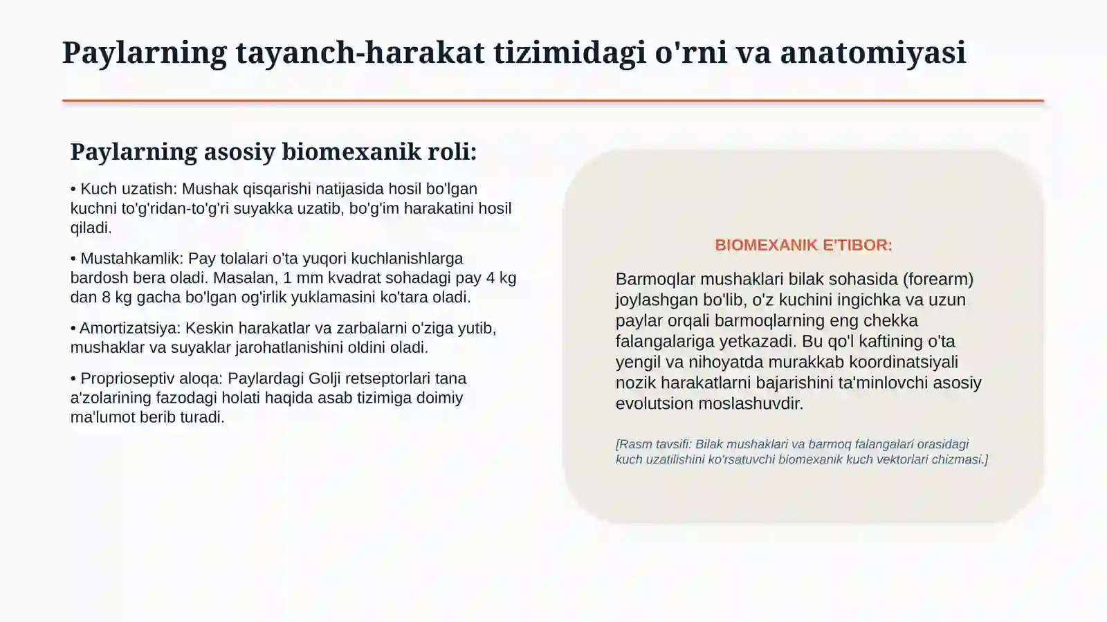 Qo‘l-oyoq barmoqlari paylari shikastlanishlari | 15 slaydli tibbiy taqdimot 2