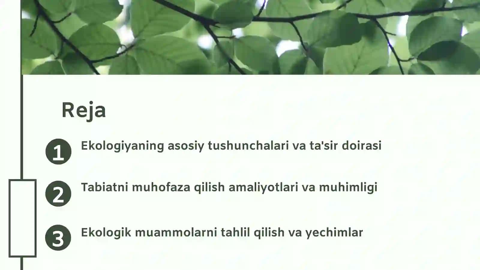 Ekologiya 2