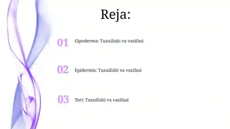 Odamterisining tuzilishi va funksiyalarini oʻrganish 2