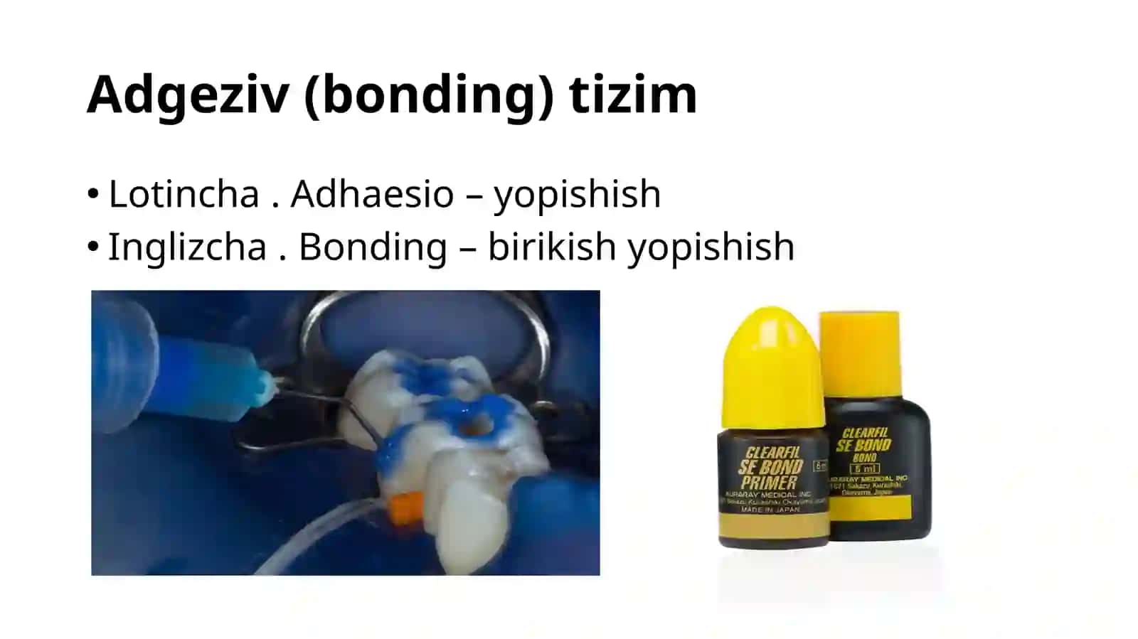Adgeziya tizimi 2