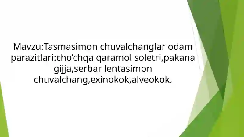 Preview 2