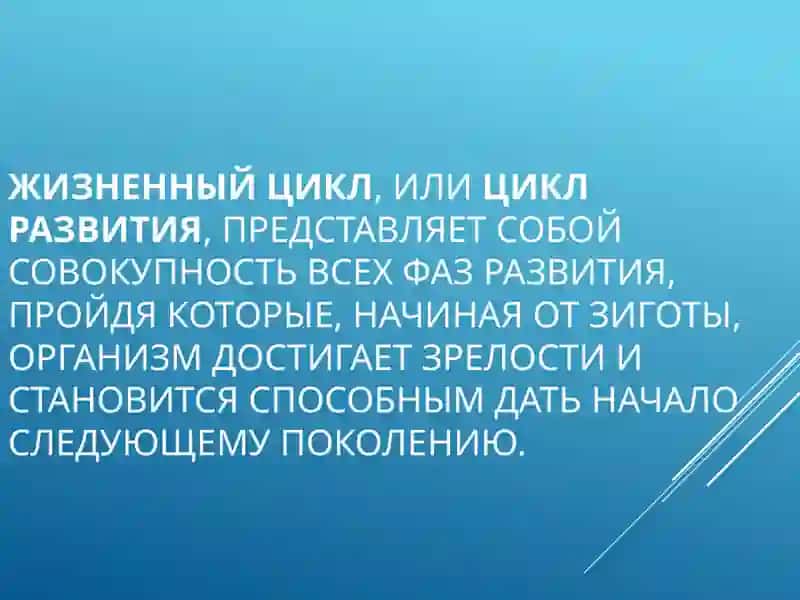 Жизненные циклы у растений и животных 2