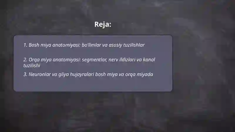 Bosh miya va orqa miya 2