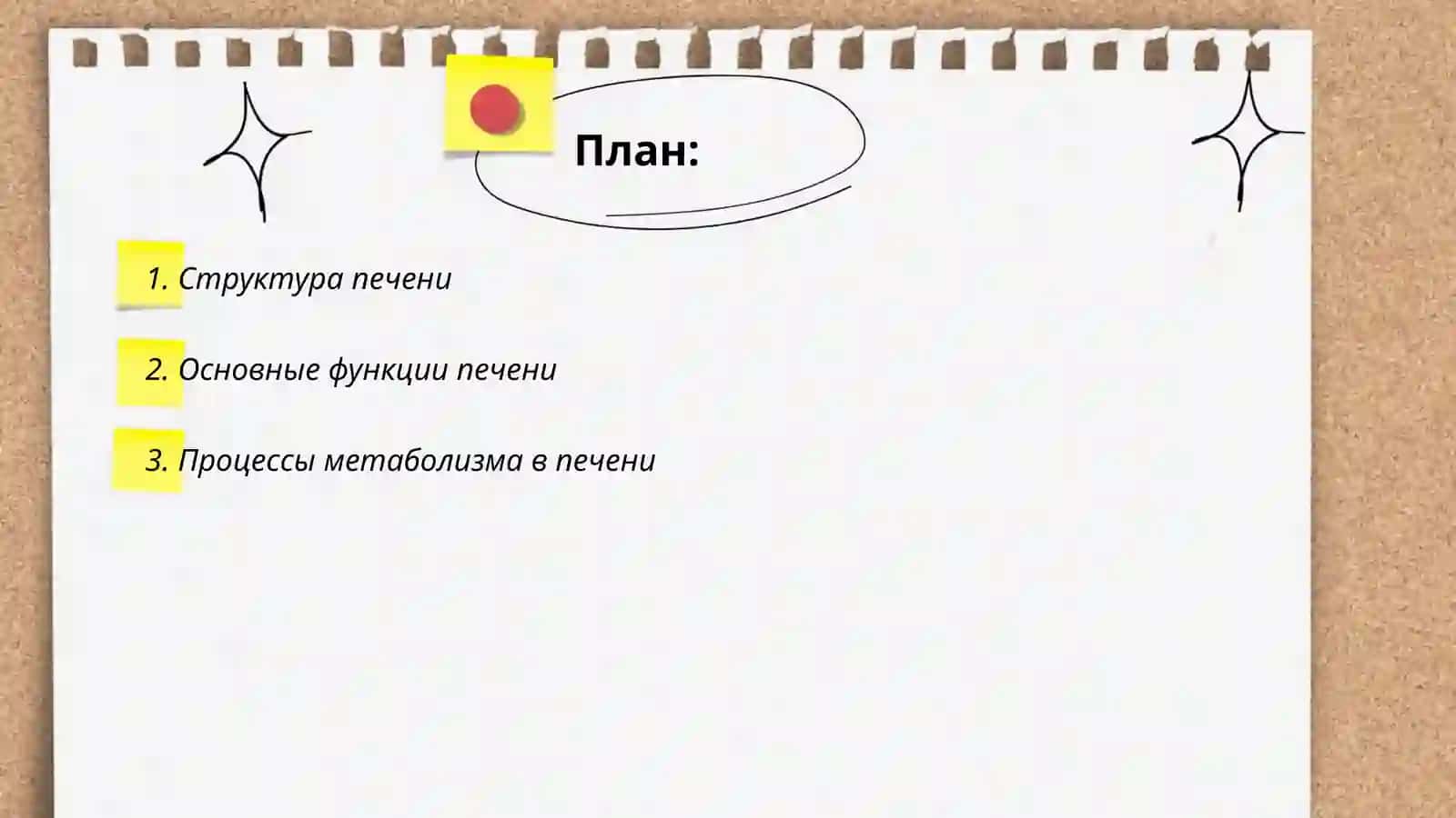 Функции печени и процессы детоксикации 2