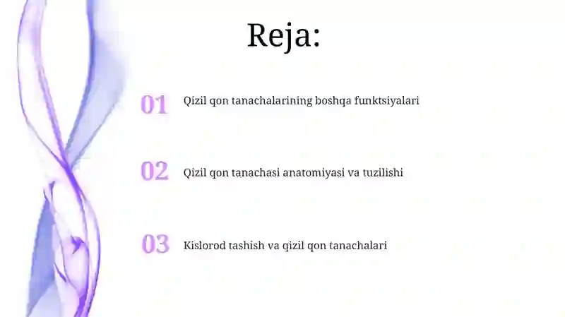 Qizil qon tanachalari anatomiyasi va tuzilishi 2