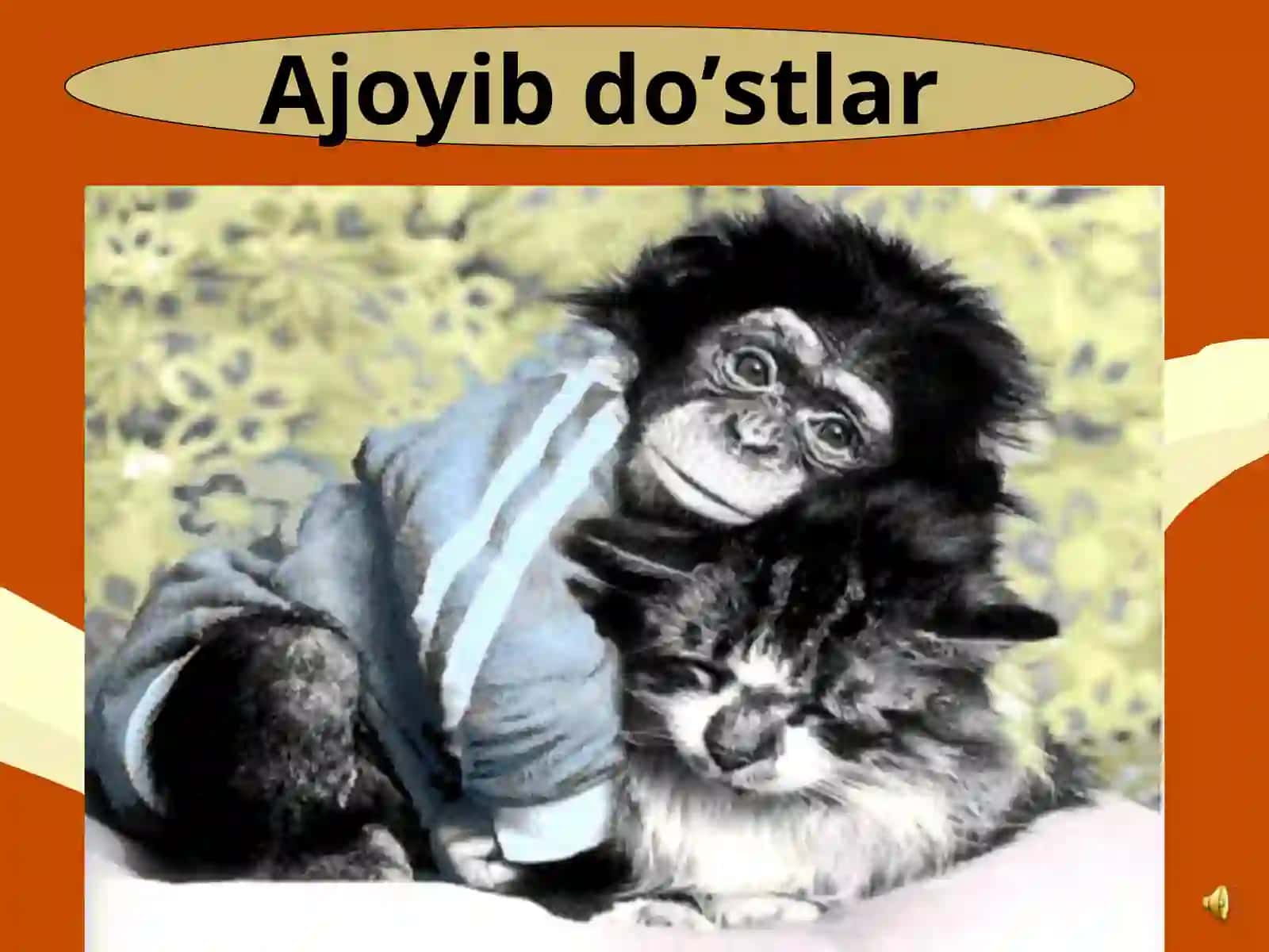 Hayvonot bog’ida. 2