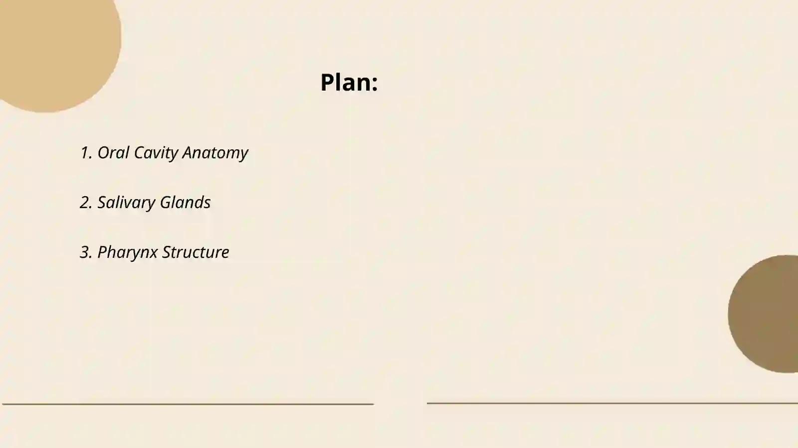 Anatomy of digestive system 2