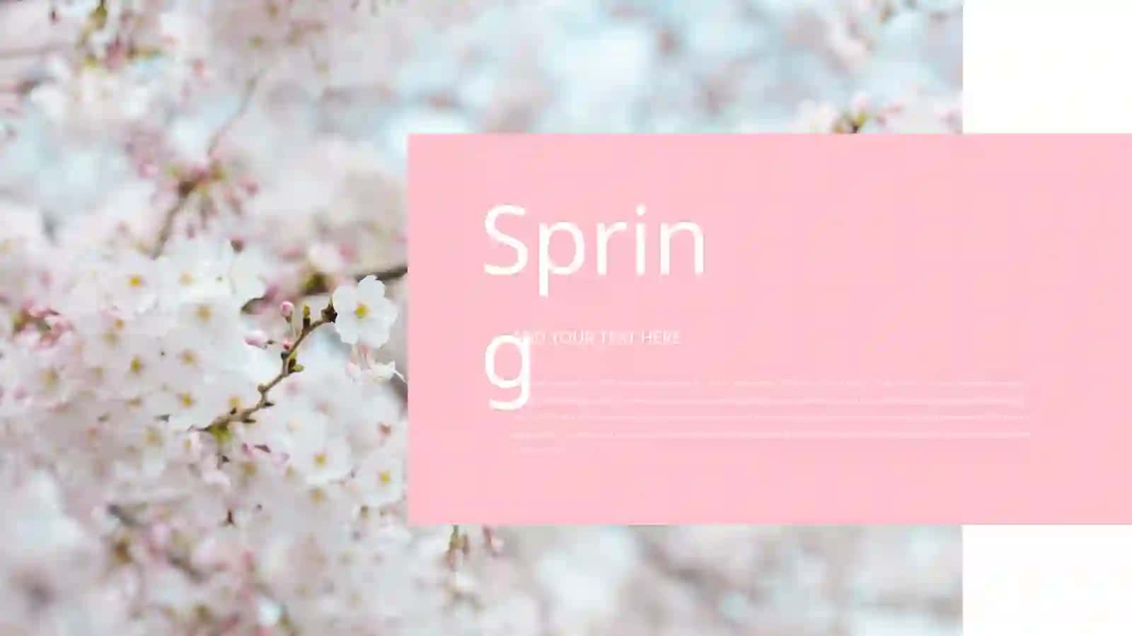 Spring 2
